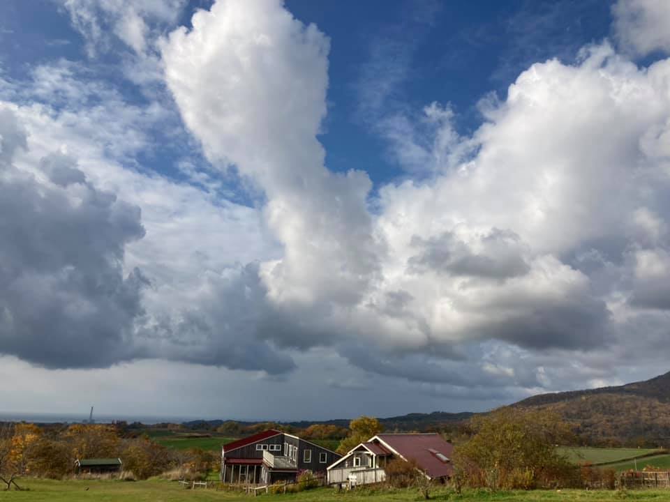 岩﨑晴江氏によるシュプラッハゲシュタルト・言語造形」エポック