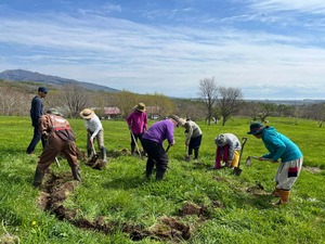 ぐるぐるガーデン作り